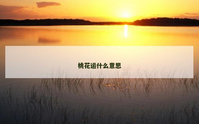 桃花运什么意思