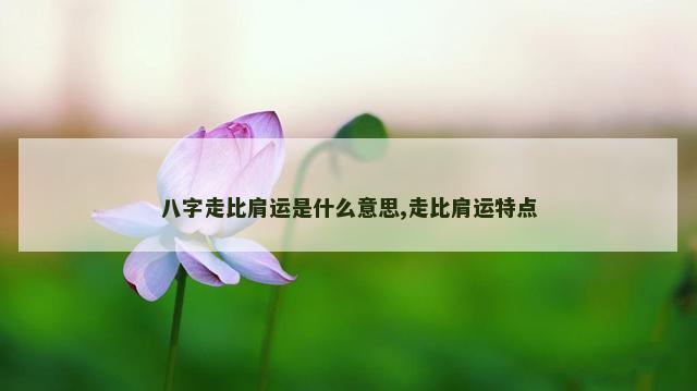 八字走比肩运是什么意思,走比肩运特点