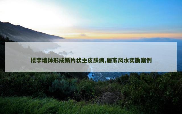 楼宇墙体形成鳞片状主皮肤病,居家风水实勘案例
