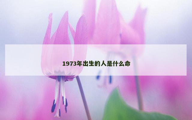 1973年出生的人是什么命