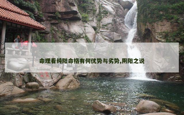 命理看纯阳命格有何优势与劣势,阴阳之说