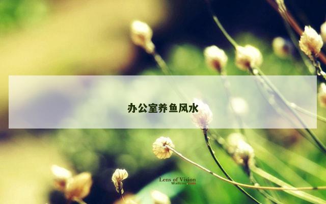 办公室养鱼风水