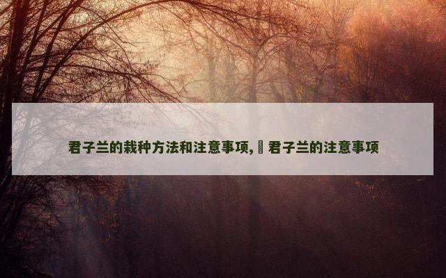 君子兰的栽种方法和注意事项,​君子兰的注意事项
