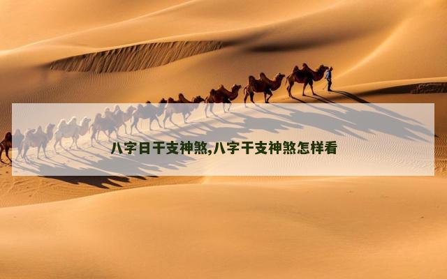 八字日干支神煞,八字干支神煞怎样看