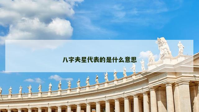 八字夫星代表的是什么意思