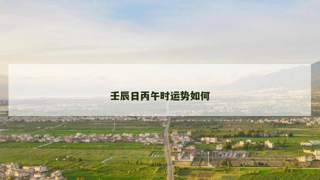 壬辰日丙午时运势如何