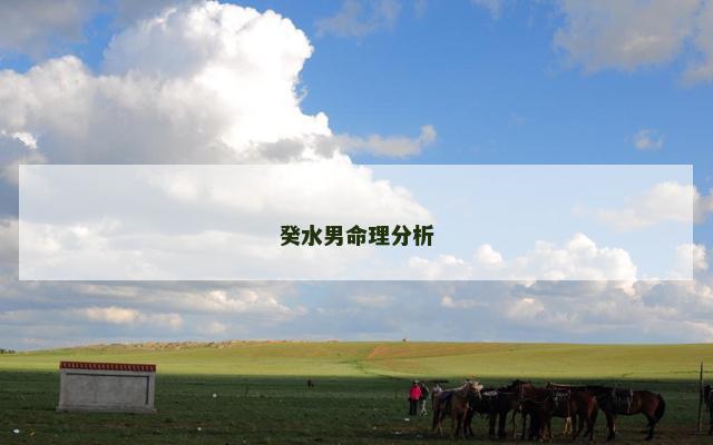 癸水男命理分析