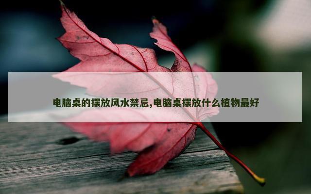电脑桌的摆放风水禁忌,电脑桌摆放什么植物最好