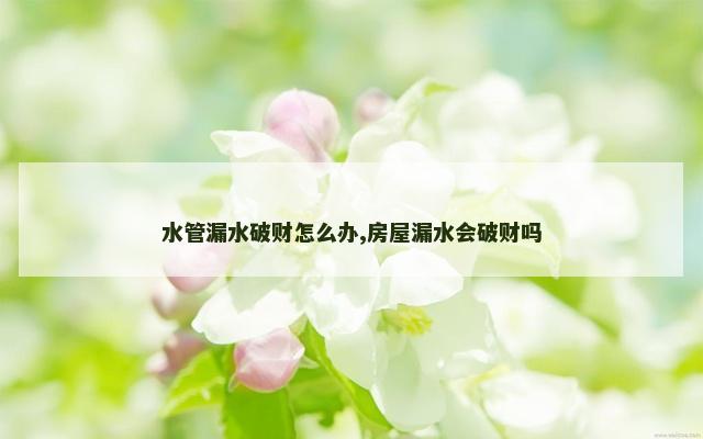 水管漏水破财怎么办,房屋漏水会破财吗