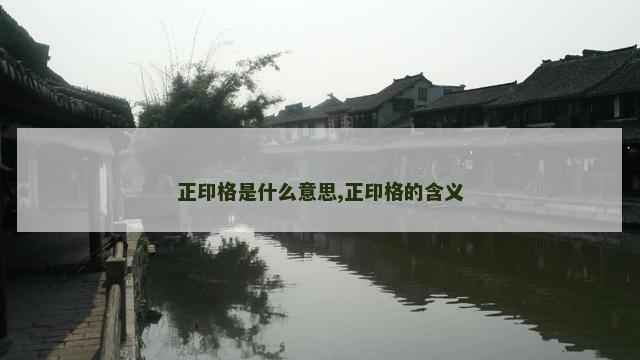 正印格是什么意思,正印格的含义