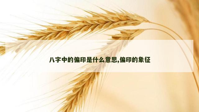 八字中的偏印是什么意思,偏印的象征