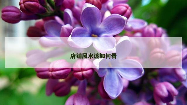 店铺风水该如何看