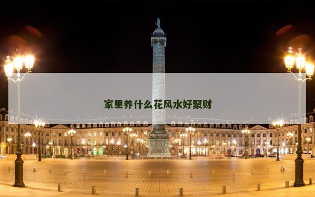 家里养什么花风水好聚财