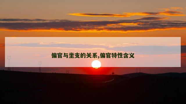 偏官与坐支的关系,偏官特性含义