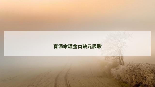 盲派命理金口诀元辰歌