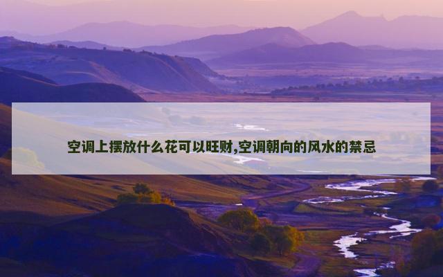 空调上摆放什么花可以旺财,空调朝向的风水的禁忌