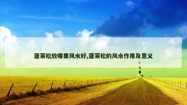 蓬莱松放哪里风水好,蓬莱松的风水作用及意义