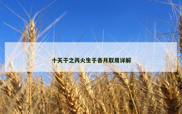 十天干之丙火生于各月取用详解
