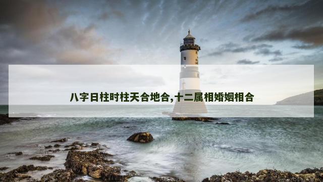 八字日柱时柱天合地合,十二属相婚姻相合