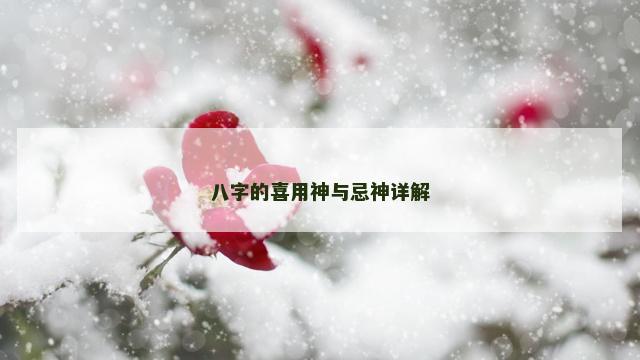 八字的喜用神与忌神详解