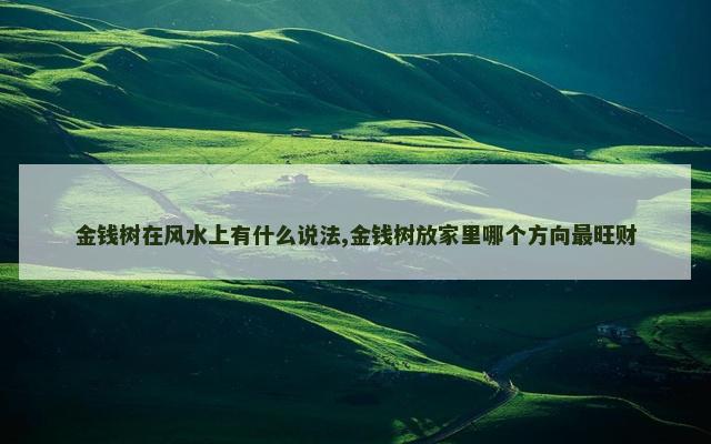 金钱树在风水上有什么说法,金钱树放家里哪个方向最旺财