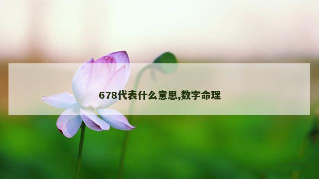 678代表什么意思,数字命理