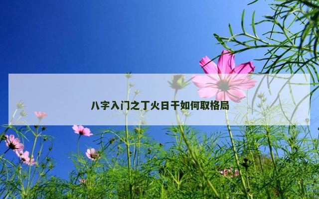 八字入门之丁火日干如何取格局