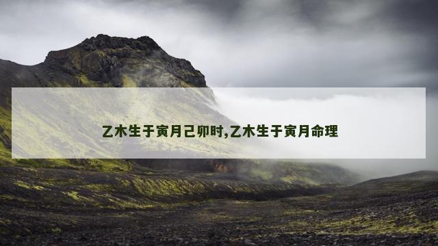 乙木生于寅月己卯时,乙木生于寅月命理