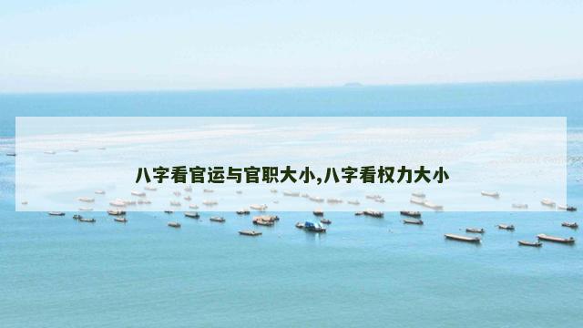 八字看官运与官职大小,八字看权力大小