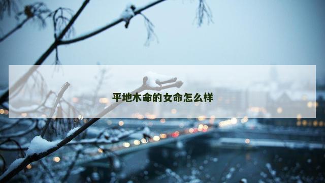 平地木命的女命怎么样
