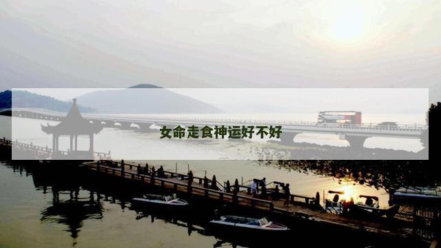 女命走食神运好不好