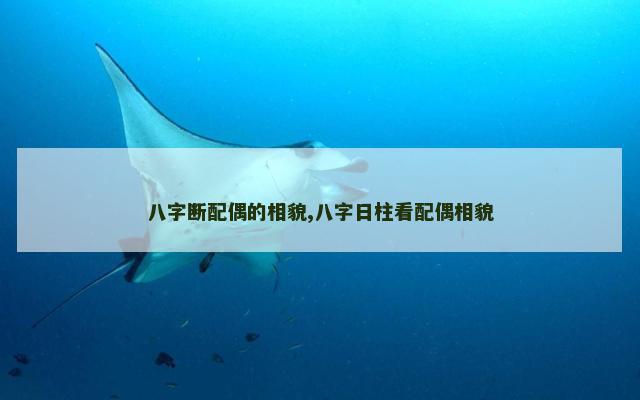 八字断配偶的相貌,八字日柱看配偶相貌