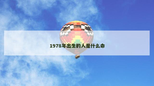 1978年出生的人是什么命
