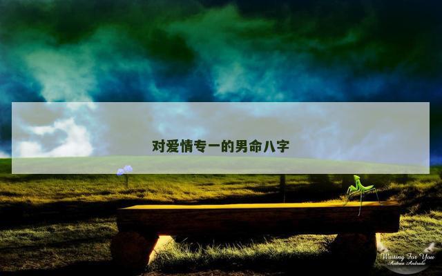 对爱情专一的男命八字