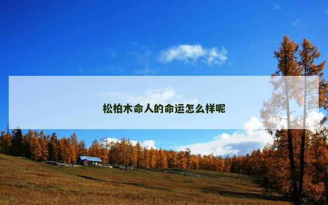 松柏木命人的命运怎么样呢