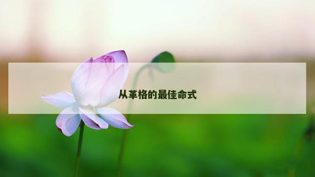 从革格的最佳命式