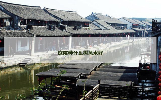 庭院种什么树风水好