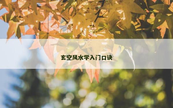 玄空风水学入门口诀