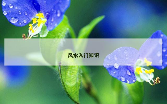 风水入门知识