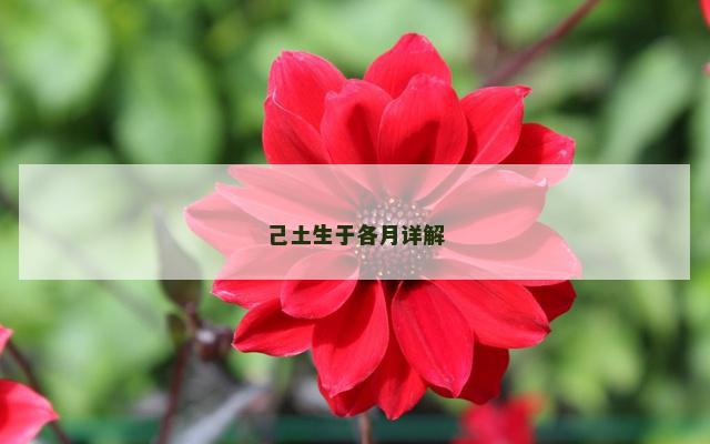 己土生于各月详解