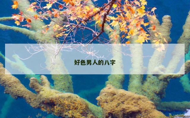 好色男人的八字
