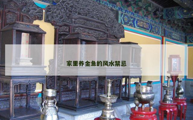 家里养金鱼的风水禁忌