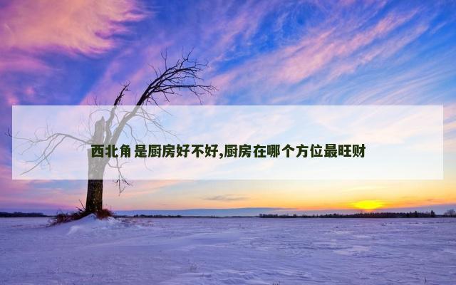西北角是厨房好不好,厨房在哪个方位最旺财