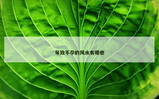 导致不孕的风水有哪些