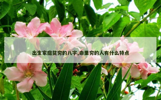 出生家庭贫穷的八字,命里穷的人有什么特点