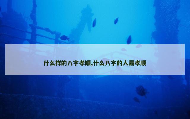 什么样的八字孝顺,什么八字的人最孝顺
