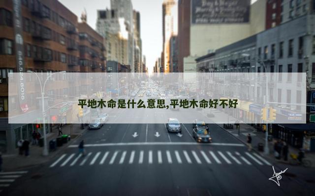 平地木命是什么意思,平地木命好不好