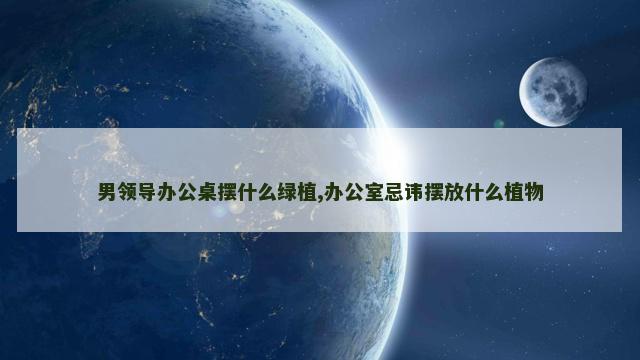 男领导办公桌摆什么绿植,办公室忌讳摆放什么植物