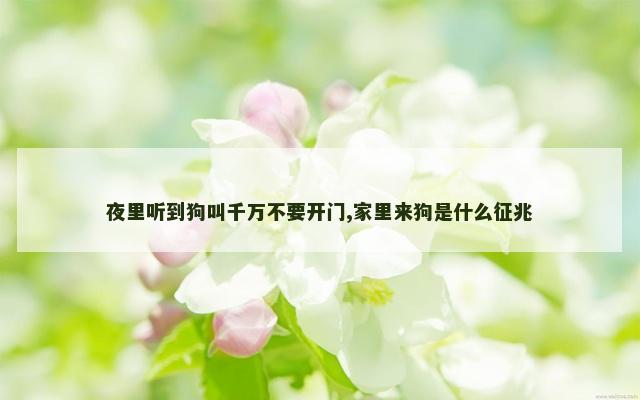 夜里听到狗叫千万不要开门,家里来狗是什么征兆