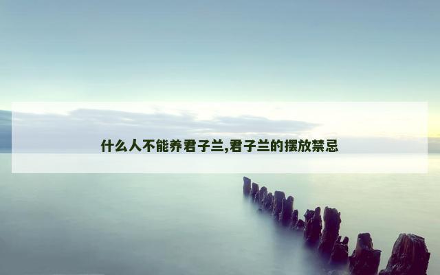 什么人不能养君子兰,君子兰的摆放禁忌